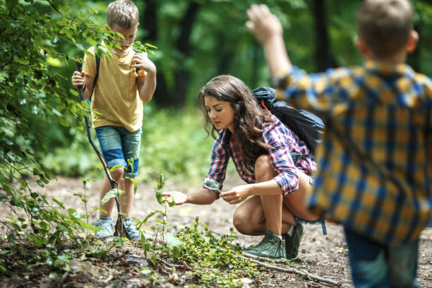 istock Mother and her little sons hiking trough forest . 1164692996
