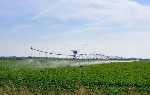 Watering agricultural field. Irrigation machinery
