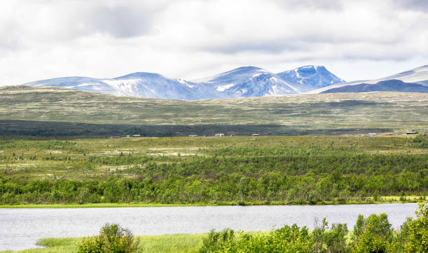 istock Dovre National Park, Norway 1164694803