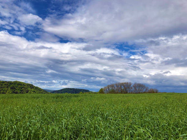 istock Rhine River valley and fertile agricultural fields, Buchberg 1164697407