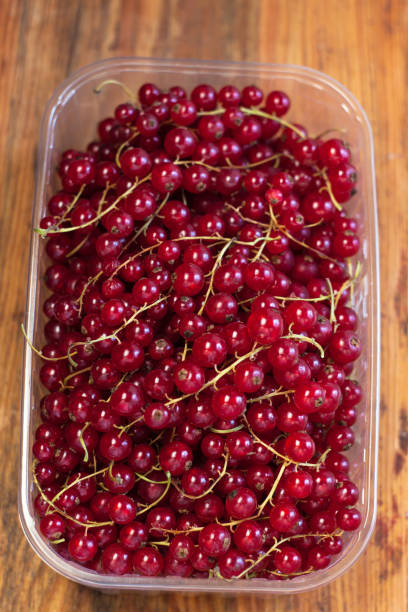 grosella roja en una caja de primer plano sobre un fondo de madera. sabrosas bayas frescas, vitaminas, veganos, naturales, alimentos crudos. - 7700 fotografías e imágenes de stock