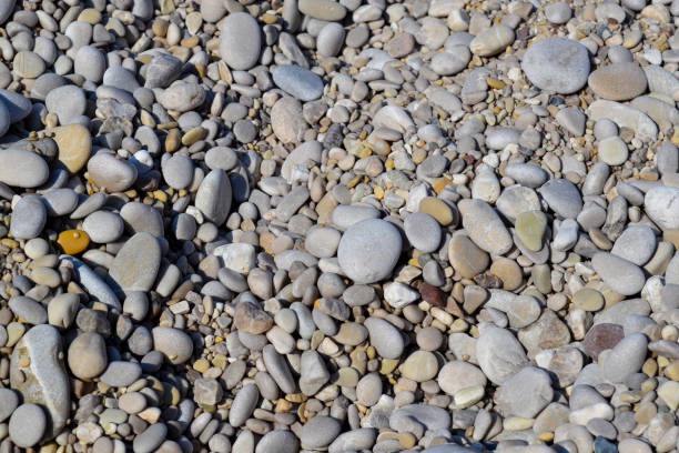 istock abstract background with dry round reeble stones 1164701301