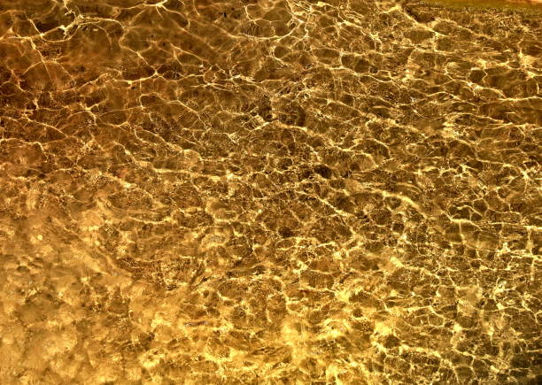 istock Yellow water surface in the old pool 1164706323
