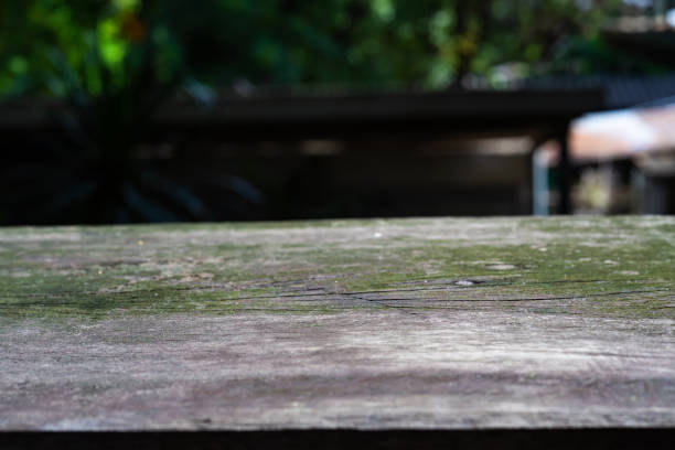 istock Green moss in wood textured background, Close up & Macro shot, Selective focus, Home concept 1164707617