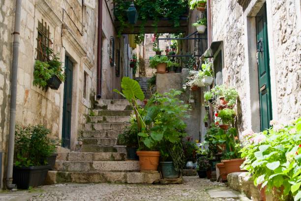 istock Green plants between historic houses 1164709900