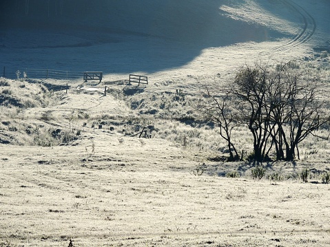 Winter landscape at Aysen region in the Chilean Patagonia