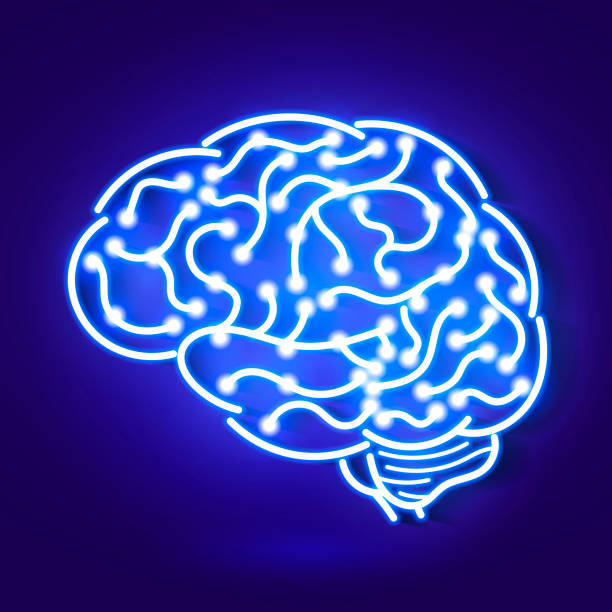 istock Vector illustration of human brain. Neon sign on blue background. 1164715011