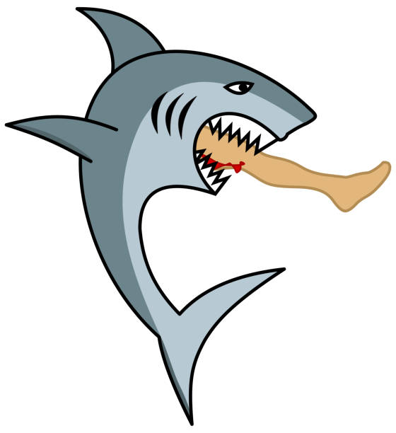 110+ Shark Eats Man Stock Photos, Pictures & Royalty-Free Images - iStock