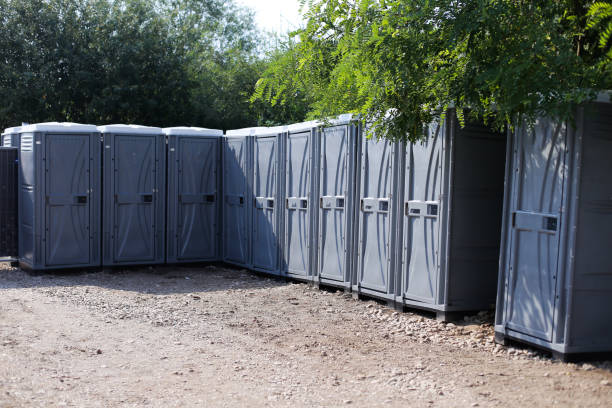 istock Ecological toilets in a row at a public event (music festival) 1164715648