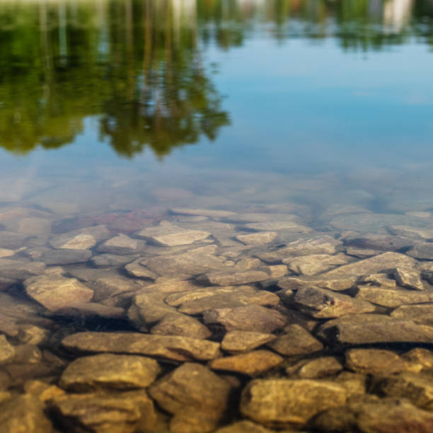 istock Stones in the water. 1164715857