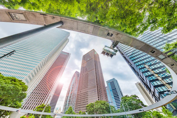 istock Fresh green trees and buildings 1164715992