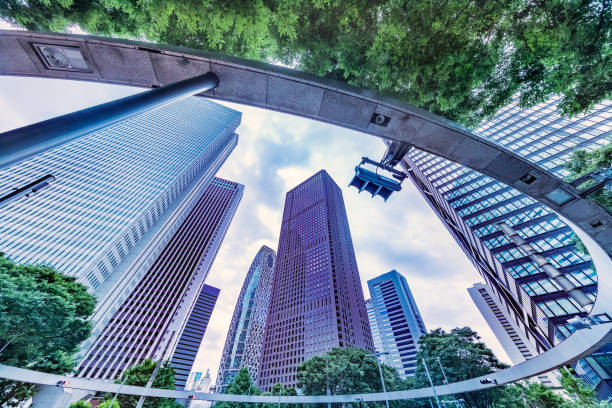 istock Fresh green trees and buildings 1164716120