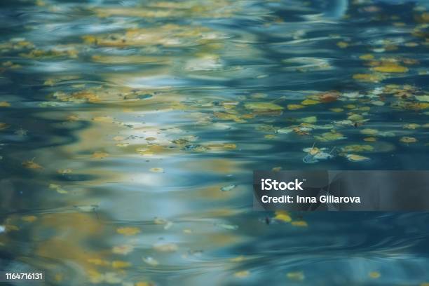 Water Surface With Autumn Leaves And Reflections Stock Photo - Download Image Now - Water, Abstract, Lake