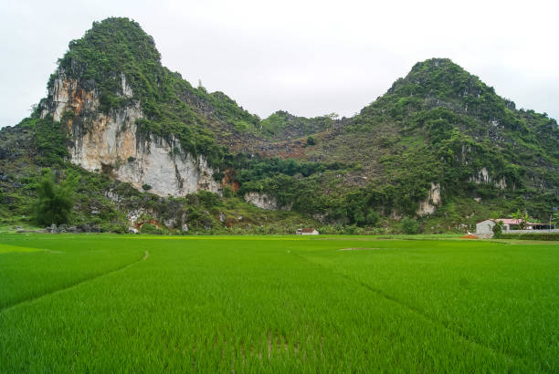 istock Vietnam travel 1164716132