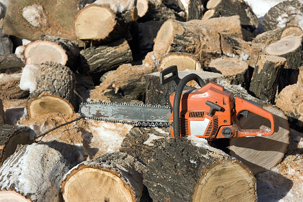 istock petrol saw and oak 116471959