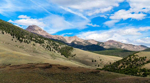 istock Rugged mountain range in Idaho with blue sky and white clouds 1164723409