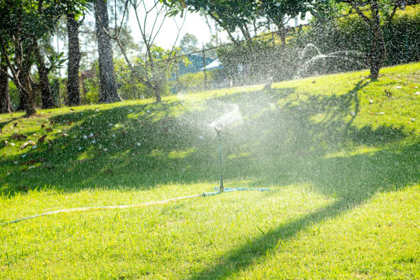 istock automatic watering system and water sprayed from the sprinkler for lawn, grass. 1164723850