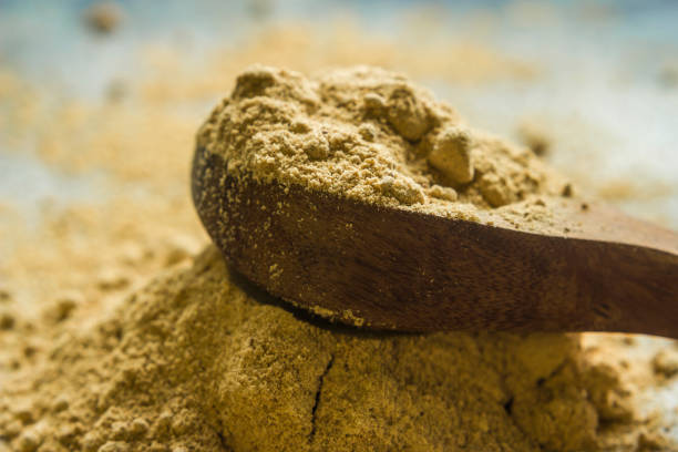Close-up of dry mango powder