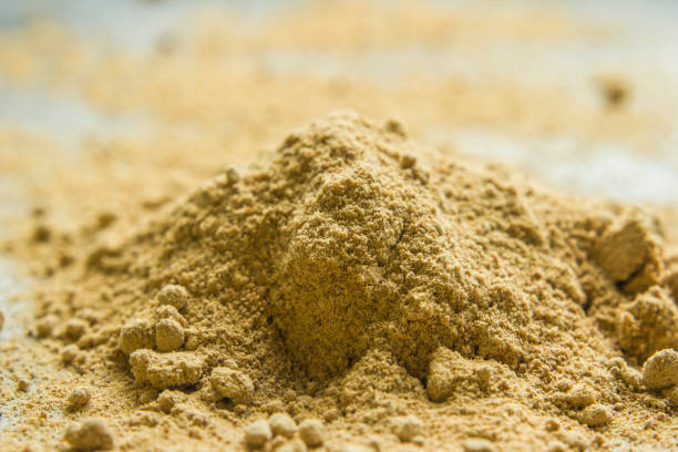 istock Close-up of dry mango powder 1164728877
