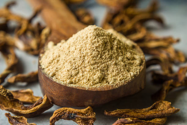 istock Close-up of dry mango powder and dry mango 1164730361