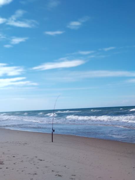 istock Fishing rod on the beach sand 1164730573