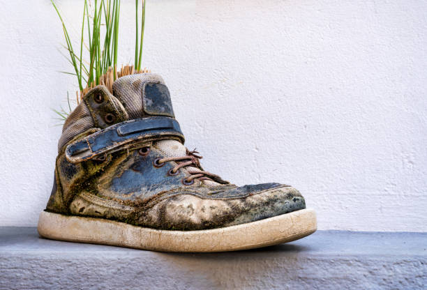 Old sneaker misappropriated as a flower top - Extraordinary flower pot