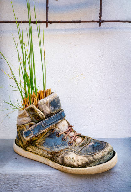 Old sneaker misappropriated as a flower top - Extraordinary flower pot