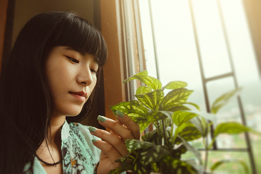 Indoor image of an Asian/Indian, beautiful, young woman enjoys the beauty of a potted plant. She sits near the window of her living room in rainy season at Himachal Pradesh, India.