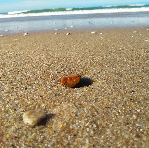 istock Stones in the beach sand 1164732343