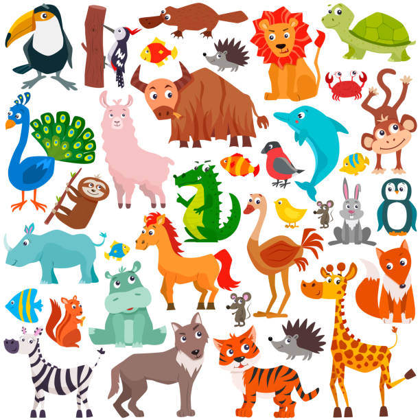 ilustraciones, imágenes clip art, dibujos animados e iconos de stock de conjunto de animales de dibujos animados lindos. - symbol sea animal owl