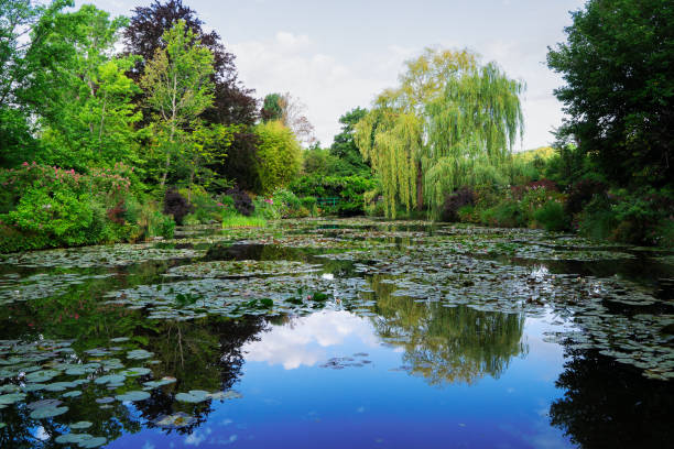 istock Pond with lilies in Giverny 1164735481