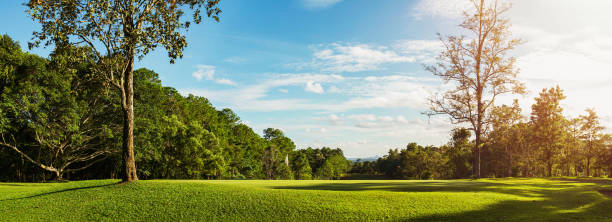 istock panorama landscape golf crouse with sunlight 1164735960