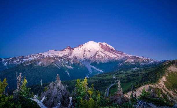 istock Mount Rainier During Blue Hour Before Sunrise As Seen From Dege Peak 1164736828