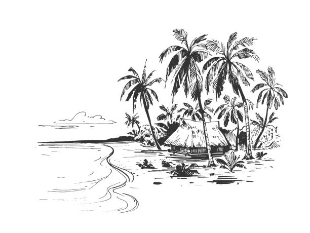 야자수와 바다와 열대 해변의 스케치. 벡터로 변환된 손으로 그린 일화 - hawaii islands illustrations stock illustrations