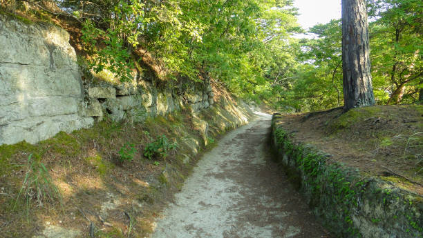 istock Ojima Island in Town Matsushima 1164738664