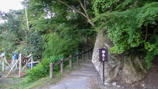 60+ Ojima Photos Stock Photos, Pictures & RoyaltyFree Images iStock