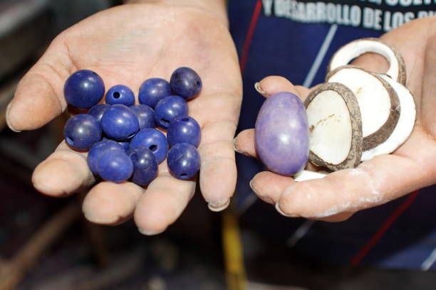 istock Blue tagua nut beads in a hand 1164742526