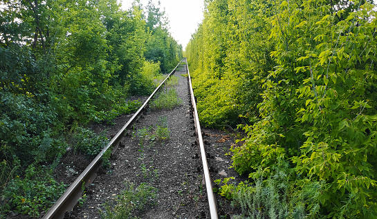 Railway between the trees that create a tunnel of green leaves