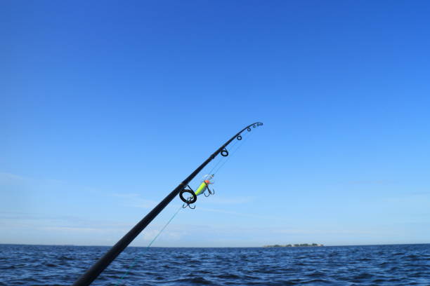 istock fishing on the sea 1164744180