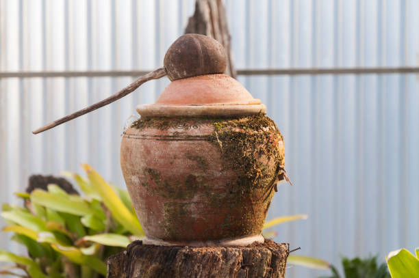 istock Dipper coconut shell and clay pot 1164744660