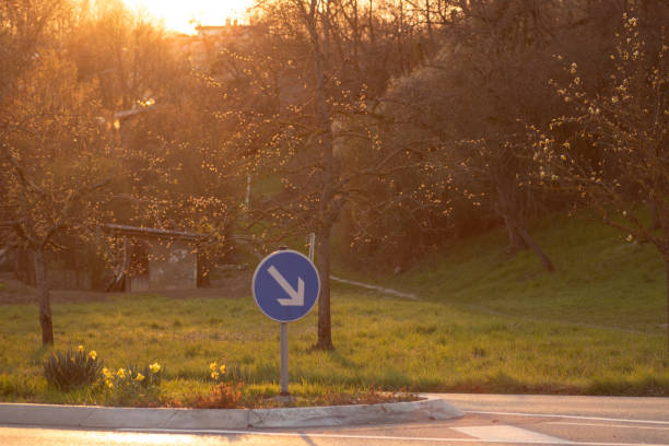 Road in the countryside with blue traffic sign
