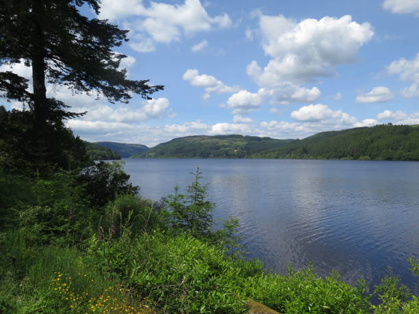 istock RSPB Lake Vyrnmy Reserve 1164747273