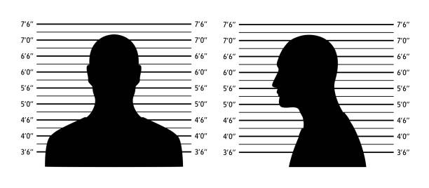 Police lineup. Mugshot background with silhouette men Police lineup. Mugshot background with silhouette men. Black silhouette on white background. Front and profile of  man Isolation. Vector illustration lineup stock illustrations