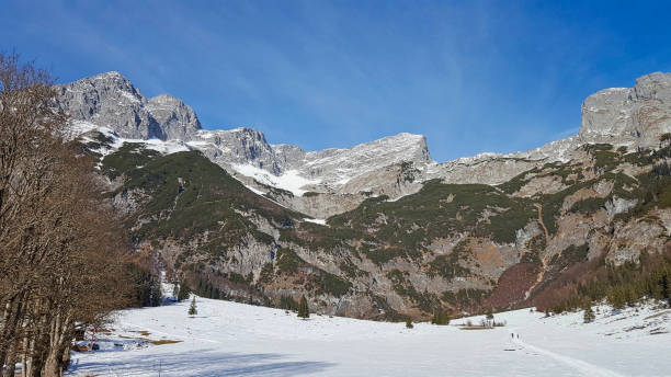 istock snowy mountains and grassland in the wintertime 1164751153