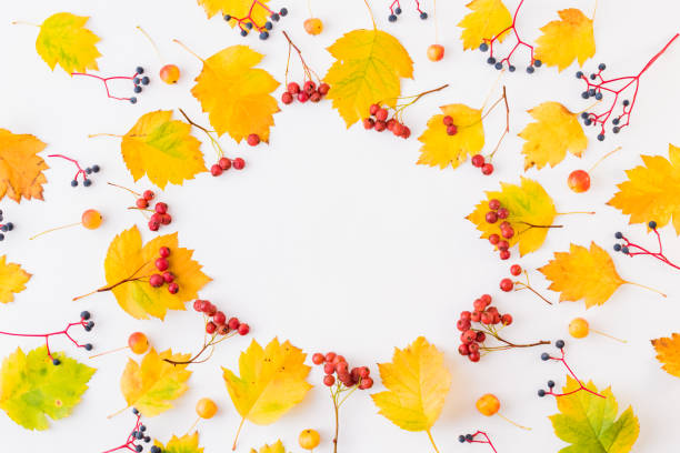 istock Flat lay frame with colorful autumn leaves and berries on a white background 1164753918