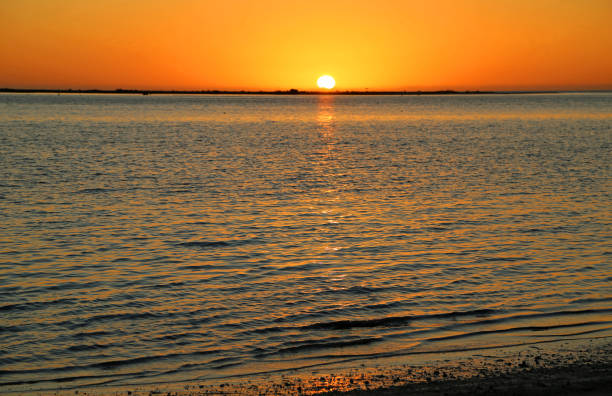 On Mexico Gulf in Dunedin, Florida