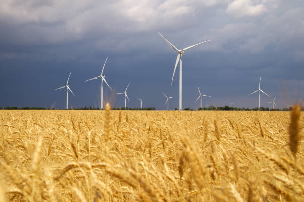 turbine eoliche e campo agricolo in una giornata nuvolosa estiva. produzione di energia, energia pulita e rinnovabile. - storm wheat storm cloud rain foto e immagini stock