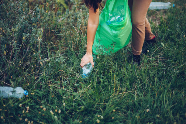 istock Volunteer collects plastic bottles outdoors 1164756671