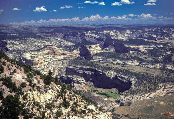 istock Dinosaur National Monument-Close-up View Into Canyons-1986 1164758775