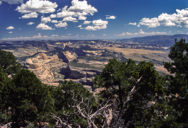 istock Dinosaur National Monument-Horizontal View Into Canyons-1986 1164758810